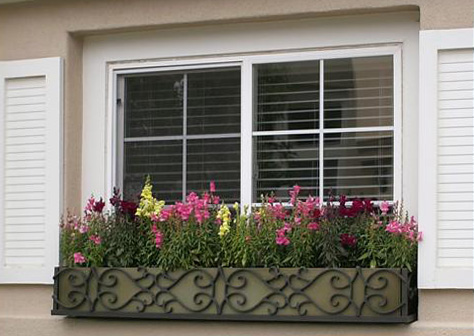 Window box Pontalba Style