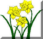 daffodil.wmf (21564 bytes)