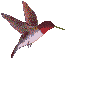 humming1.gif (6600 bytes)