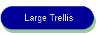 Large Trelis