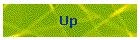 Up 
