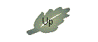 Up 