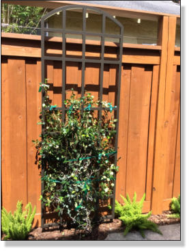 Garden Metal Work | Trellis Gallery