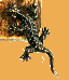 lizard.gif
