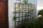 5x5lemongridtrellis