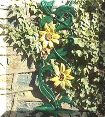 SunflowerP.jpg