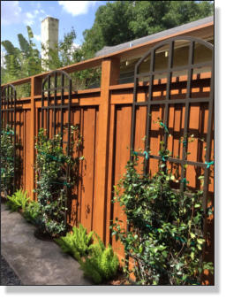 Garden Metal Work | Trellis Gallery